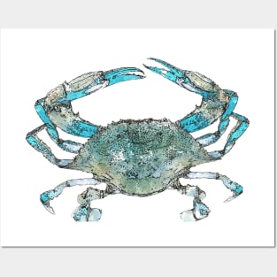 Crabby Blue Posters and Art